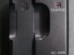 Sony Gumstick Battery Charger