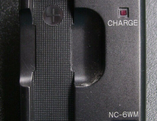 Sony Gumstick Battery Charger