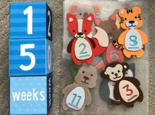 Baby Milestone Blocks & Stickers