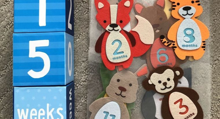 Baby Milestone Blocks & Stickers