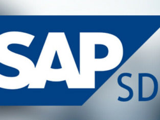 SAP SD Real-time Project Based Training-Batch/One on One Session