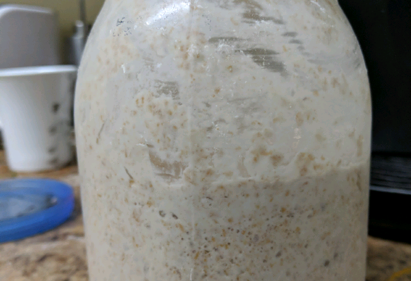 Sourdough starter for sale