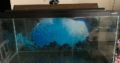 30 Gallon HAGEN fish Tank with stand
