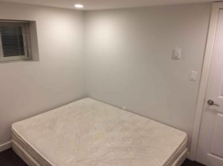 Bright bedroom ground floor suite – Available immediately