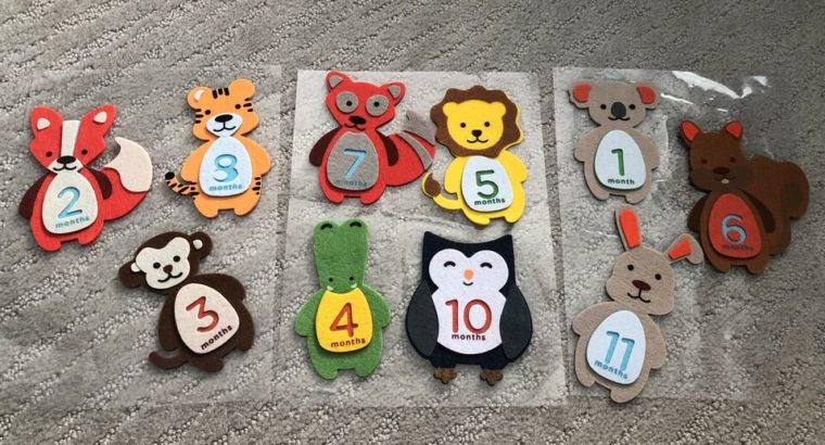 Baby Milestone Blocks & Stickers