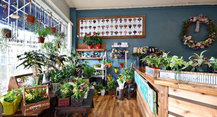 Well Established Florist & Gift Shop!