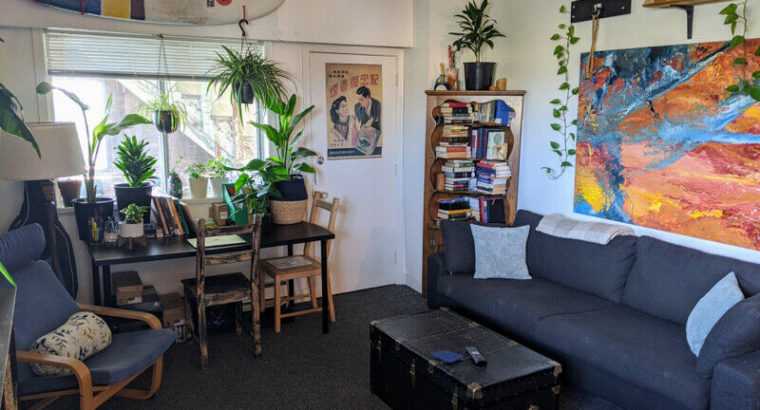 2 Week July Sublet – Very Affordable, AMAZING Location!