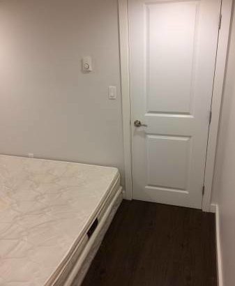 Bright bedroom ground floor suite – Available immediately