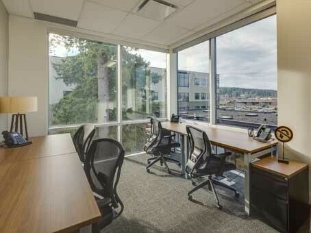 Regus has the options your business needs!
