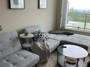 Grey sectional/couch set, really great quality! OBO
