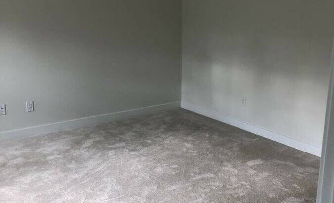 One bedroom ground level basement for rent