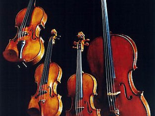 String Quartet- musicians available for special events