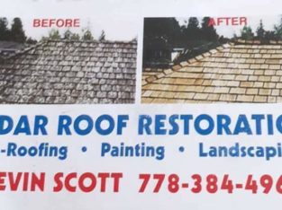 Cedar Roof Restoration