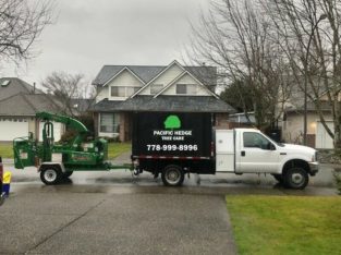 Hedge Trimming & Tree Care Professionals — PACIFICHEDGE.COM