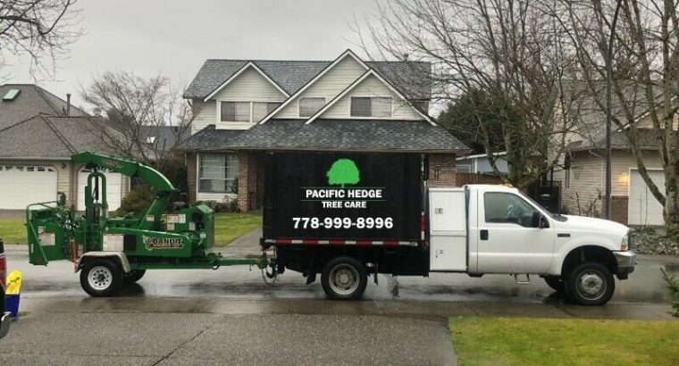 Hedge Trimming & Tree Care Professionals — PACIFICHEDGE.COM