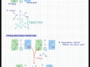 Math, Science, English Tutoring by Medical Student