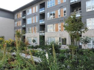 Beautiful 2 bed, 2 bath apartment near Simon Fraser University