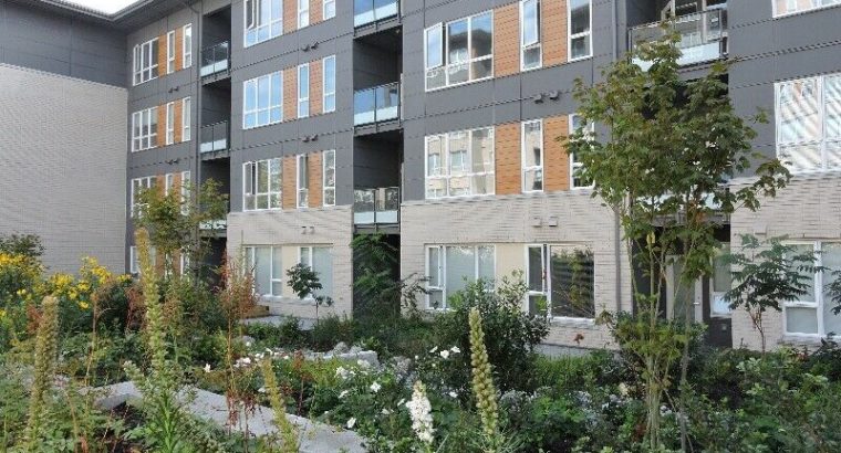 Beautiful 2 bed, 2 bath apartment near Simon Fraser University