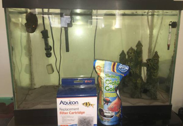 20-gallon fish tank