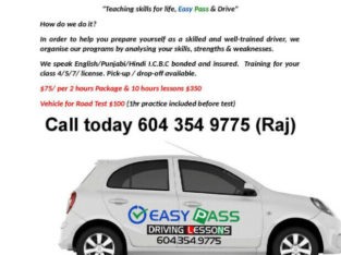 Easy Pass Driving Lessons/Driving School