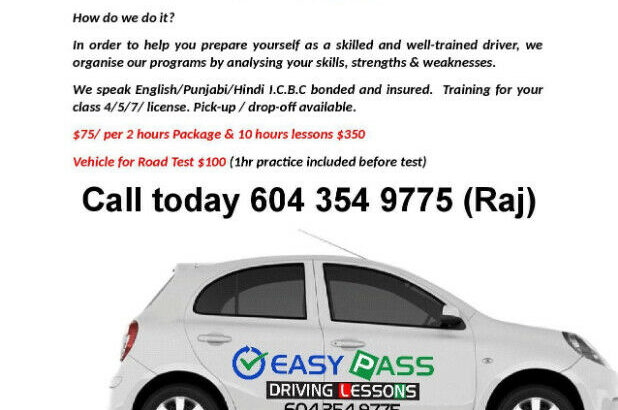 Easy Pass Driving Lessons/Driving School