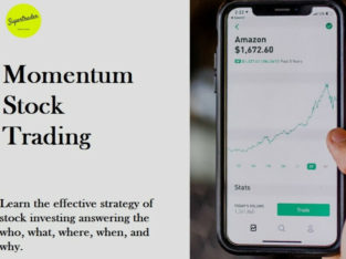 Momentum Stock Investing Course.