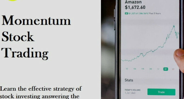 Momentum Stock Investing Course.