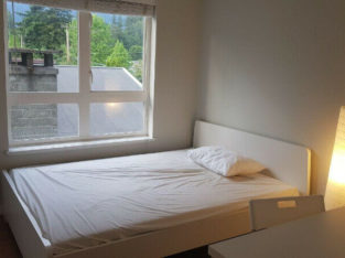 1 room with bathroom to rent in North Vancouver.