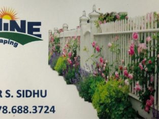 Shine Landscaping – Landscaping Services
