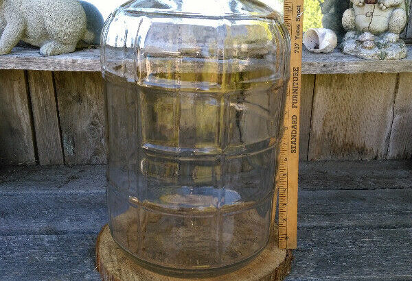 Vintage Glass 5 Gallon Carboy With no Cracks or Chips