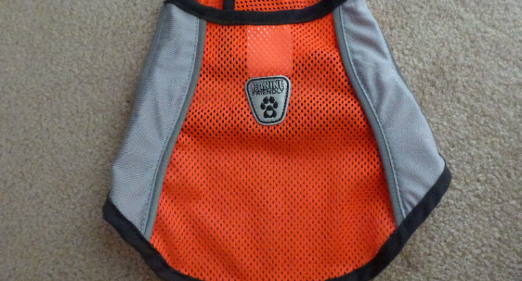 Canine Friendly highly visible dog vest (XS)