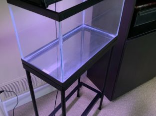 10 Gallon Aquarium/ fish tank; cover with light, and stand