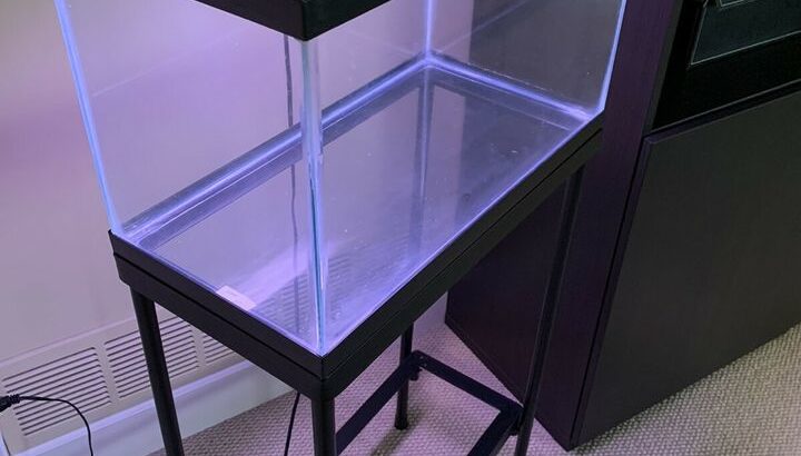 10 Gallon Aquarium/ fish tank; cover with light, and stand