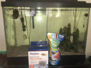 20-gallon fish tank