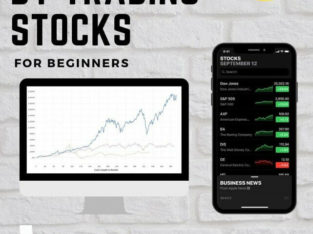 Momentum Stock Investing Course