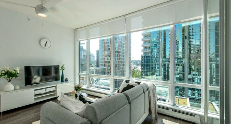 Brand-New Beautiful Vancouver Downtown Apartment (from July 1)