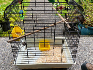 Bird cage $50