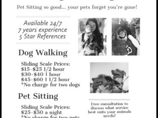 $15 Dog Walking / Pet Sitting