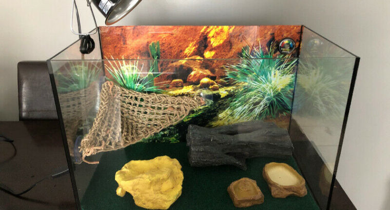 Terrarium/Tank Starter Kit $160 OBO