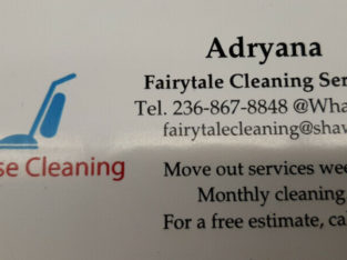 cleaning services