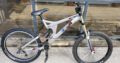 bike stolen from save on foods on south fraser