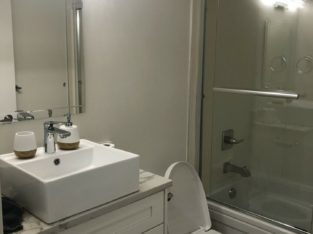 Large Furnished 1 bedroom 1 bath suite near Langara & Cambie