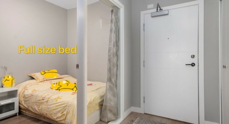 1 bed+ 1den 1bath central Richmond