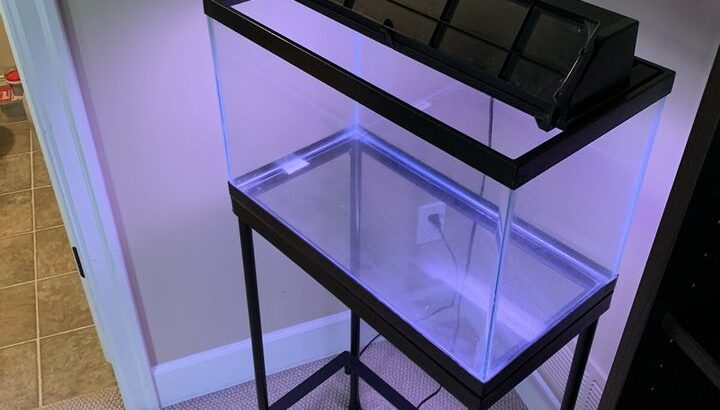 10 Gallon Aquarium/ fish tank; cover with light, and stand