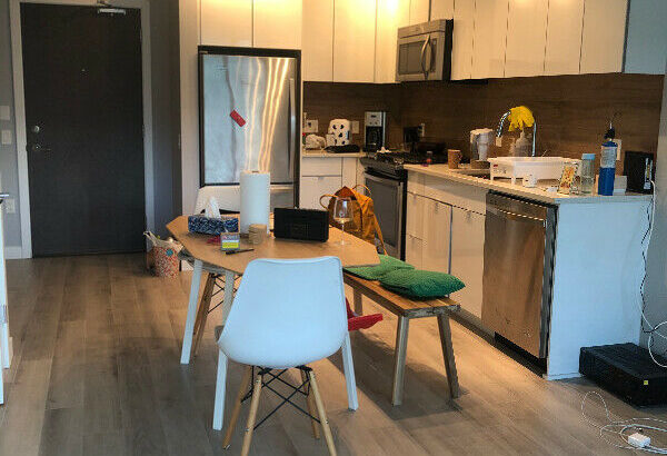 1 br apartment for rent from August 1 2020 to March 1 2021