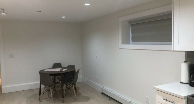 Large Furnished 1 bedroom 1 bath suite near Langara & Cambie