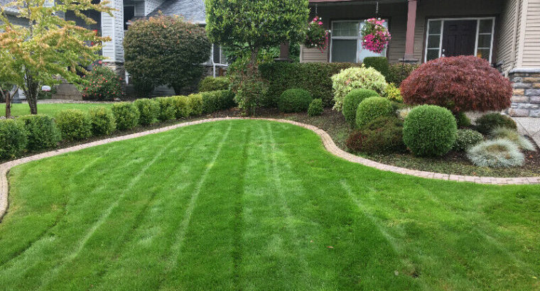 Lawn Care