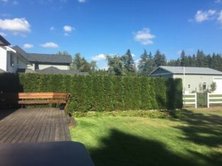 Hedge Trimming & Tree Care Professionals — PACIFICHEDGE.COM