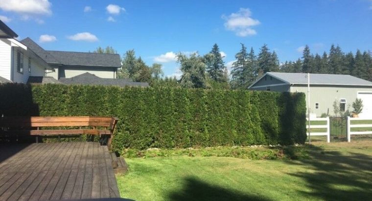 Hedge Trimming & Tree Care Professionals — PACIFICHEDGE.COM