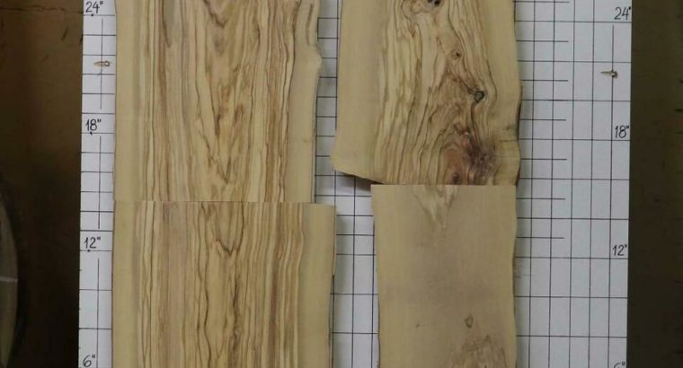 Olive wood shorts for charcuterie board